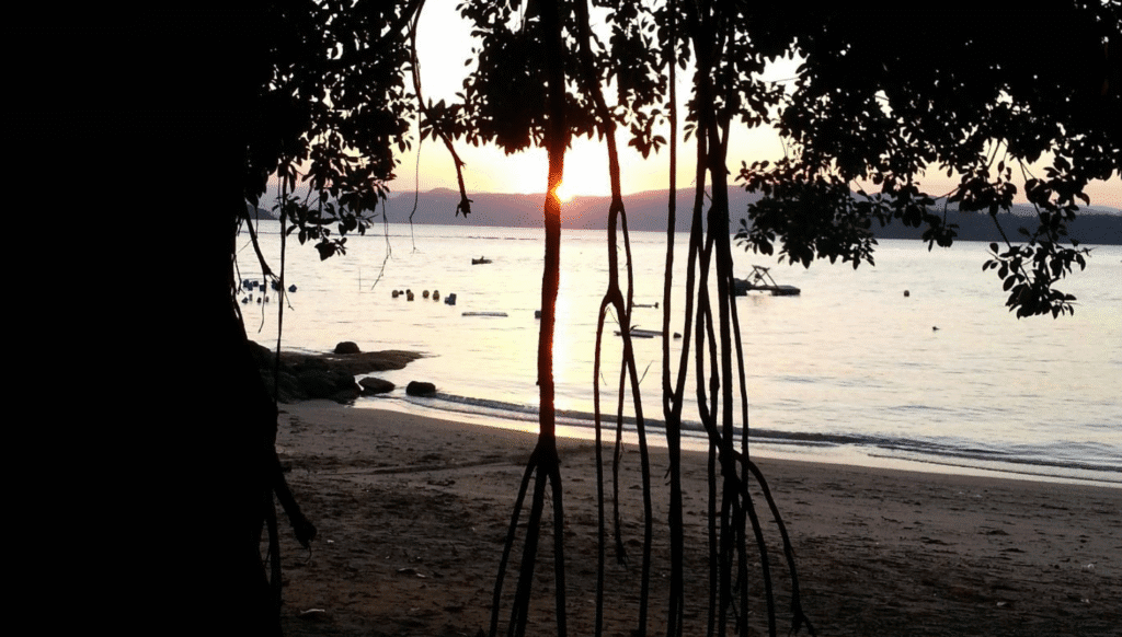 ponta do sambaqui