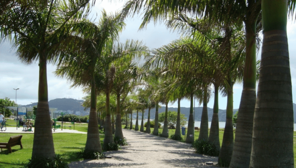 parque de coqueiros