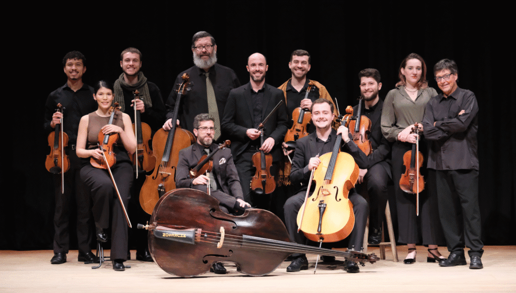 orquestra de cordas da ilha
