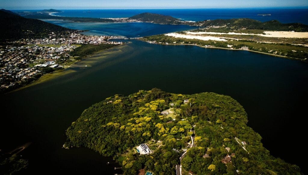 garapuvu nas encostas