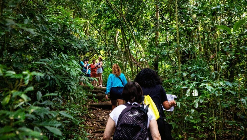 trilhas Ilha do Campeche