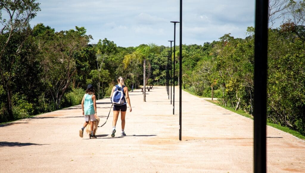 Parque Péricles de Freitas Druck