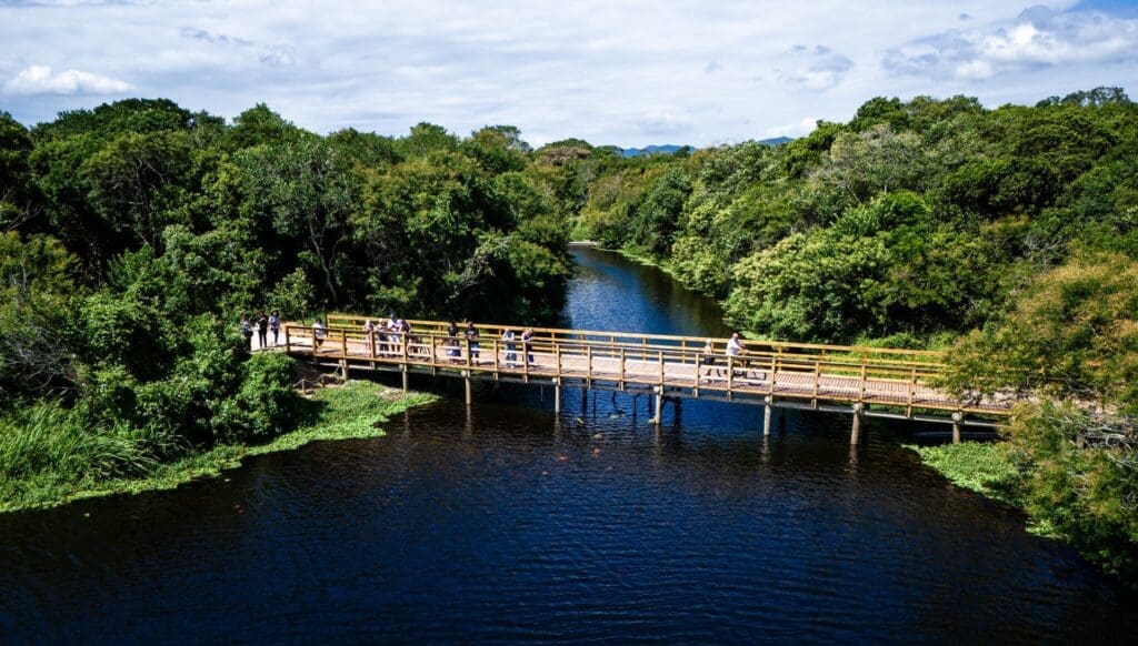 Parque Péricles de Freitas Druck