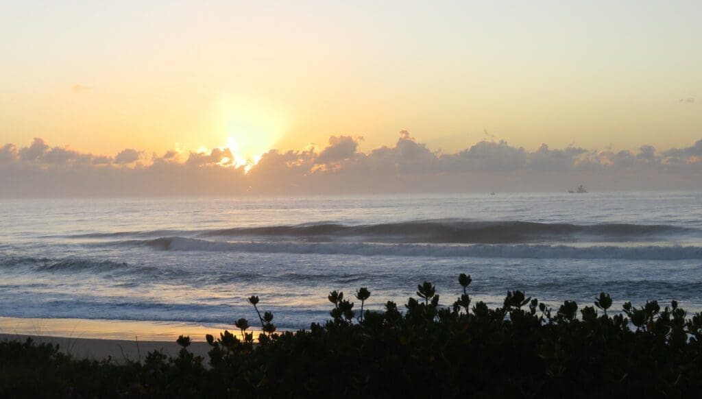 Praia do Moçambique Festival Cultura Surf e Floresta Viva